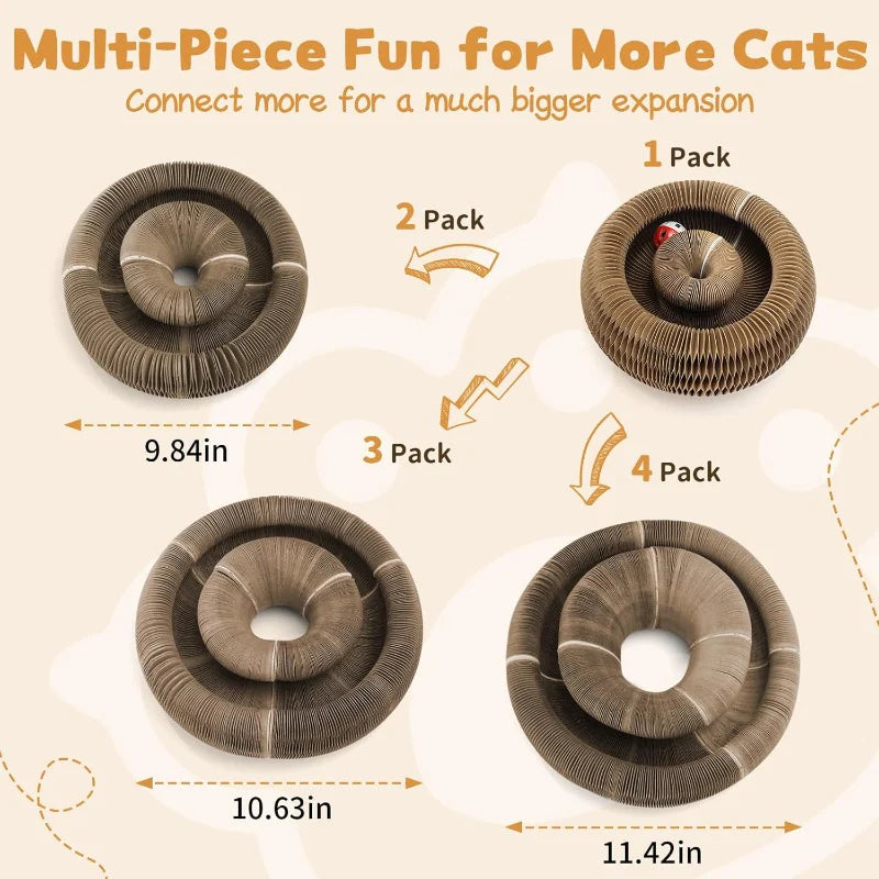 Multi-Shape Foldable Scratcher